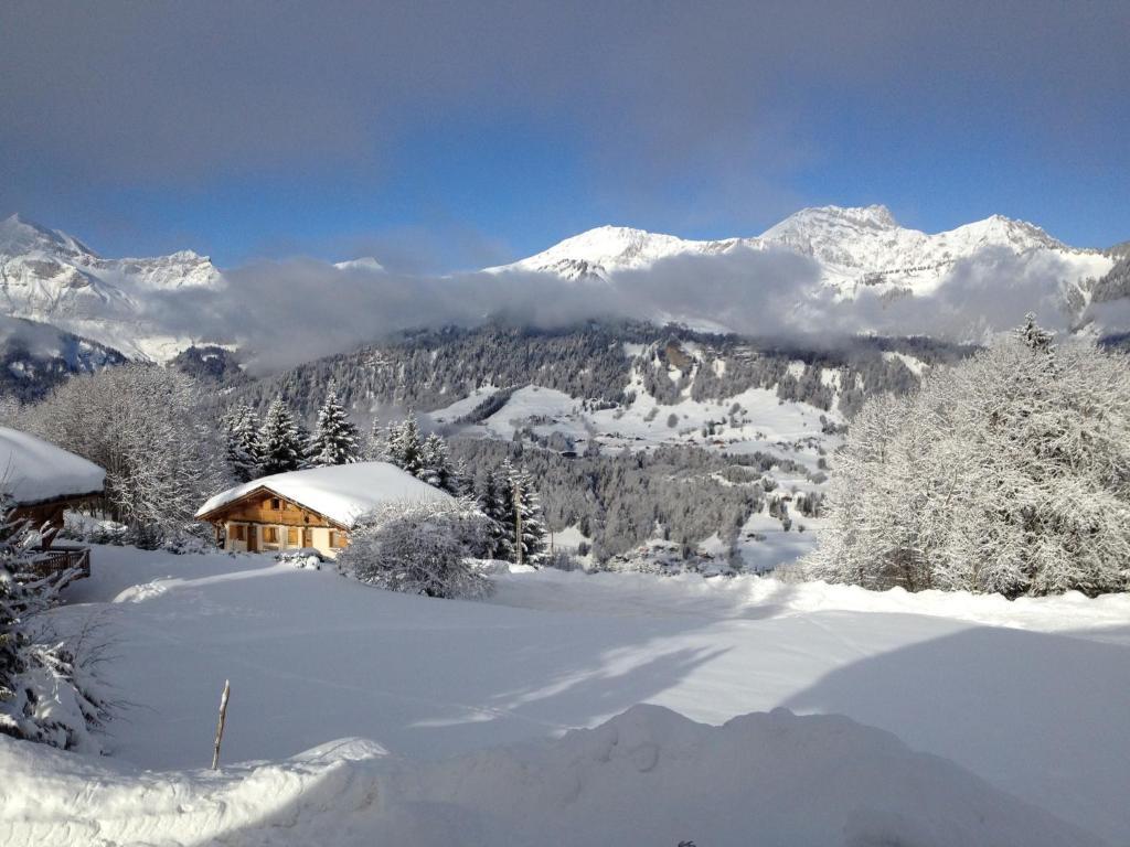 Hotel Le Caprice Des Neiges 3*