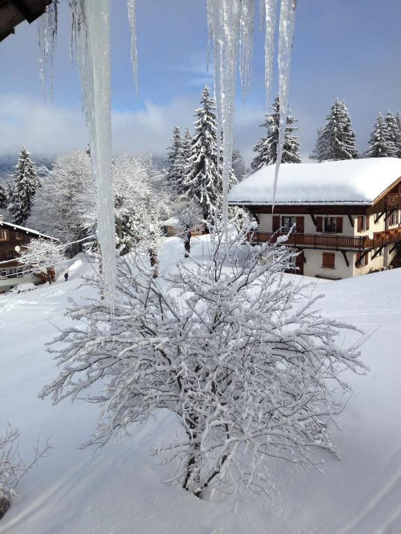 Le Caprice Des Neiges Hotel